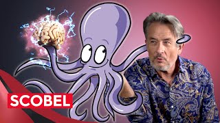 Do octopuses have consciousness | Gert Scobel & Peter Godfrey-Smith