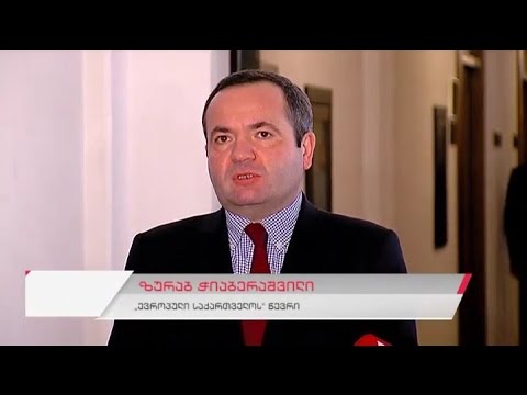 \"ევროპული საქართველოს\" წევრის ზურაბ ჭიაბერაშვილის ბრიფინგი