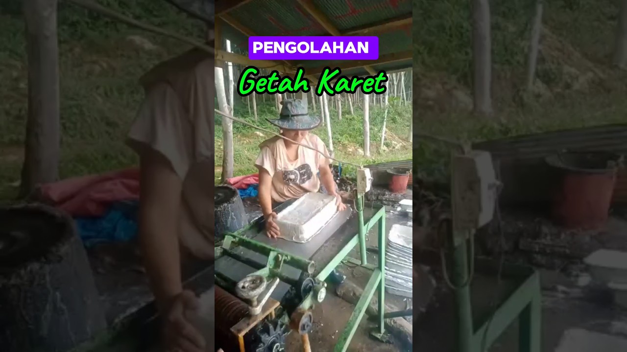 Pengolahan getah karet