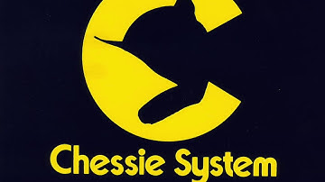 1981 Chessie System HO Layout 3
