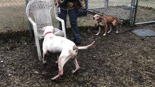 Lilith A214812 & A214363 Shipwreck