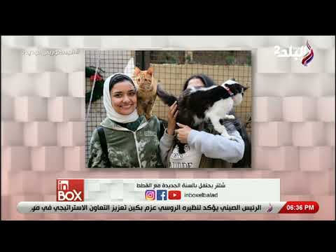 نوران عطا الله وأحمد فاروق وإشادة باحتفالية شلتر بالسنة الجديدة مع القطط