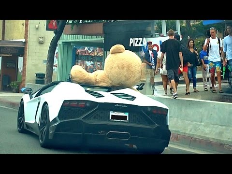 driving-lamborghini-with-huge-bear!!!-how-will-people-react-to-this?