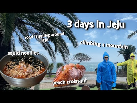 3 days on Jeju Island | staying at a traditional style airbnb, Seongsan IIchulbong, seogwipo bakery