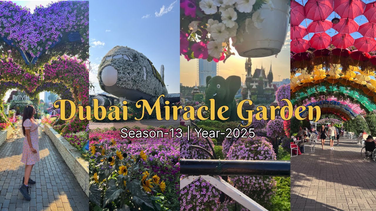 Dubai Miracle Garden | Dubai Miracle Garden 2025 | Must visit places in Dubai | Dubai Solo Travel