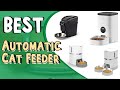Top 5 Best Automatic Cat Feeder In 2021 _ Automatic Cat Feeder Wet Food,