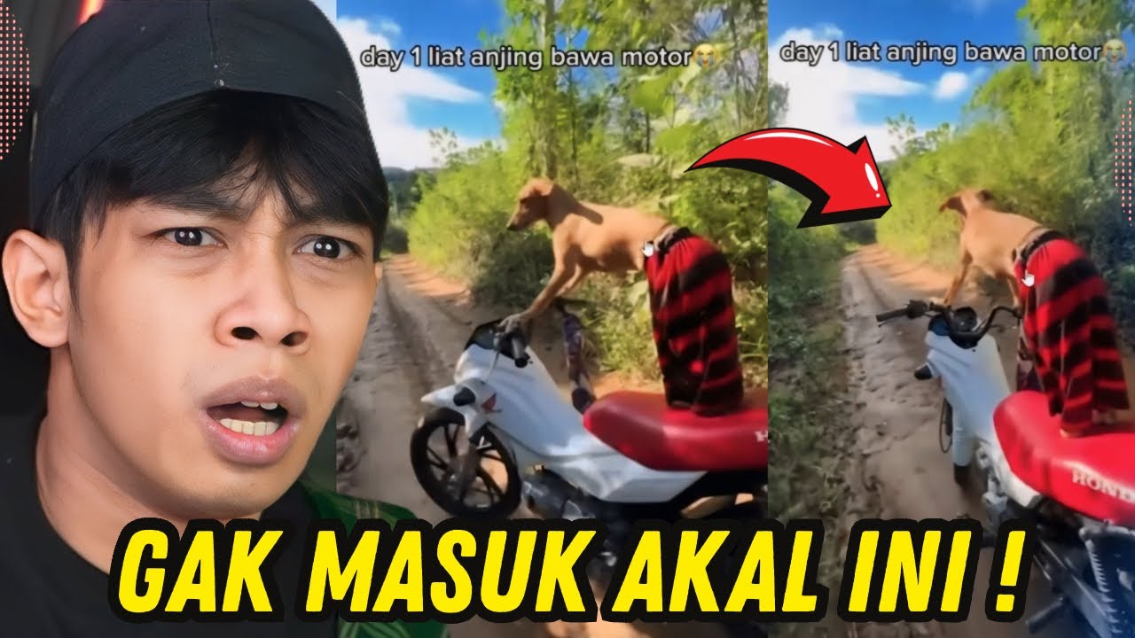 ANJIN9 BAWA MOTOR ‼️