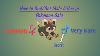 Pokemon Gaia- How To Find Get Male Litleo Easiest Way