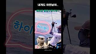 퐁당 꽝! 오늘도 꽝! ♬ #군산 봄갑오징어낚시
