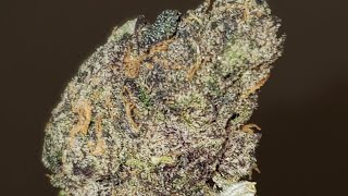 BLUE NERDS STRAIN WAKE AND BAKE STYLE