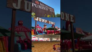 The Ultimate Guide to Pumpkin Patches In and Around Marin County #shorts