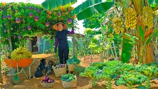 Late November harvest season: Elaeagnus Fruit, Kale, Amaranth, Bottle Gourd, Jabuticaba Grape,...