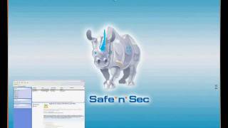 Safe'n'Sec Enterprise: Introduction screenshot 2