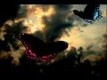 Sting - Fragile