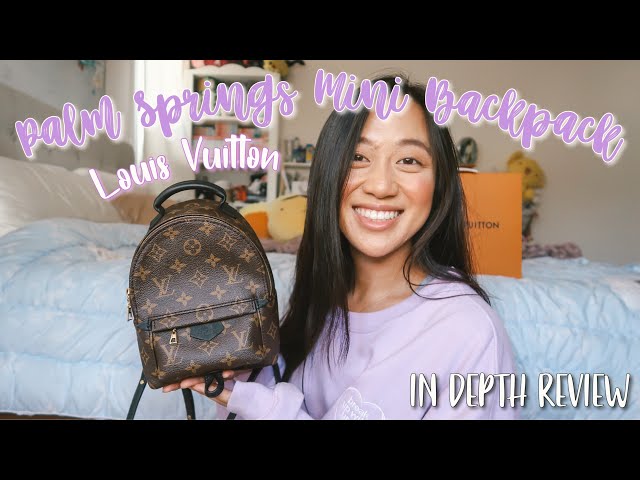 LV Palm Springs MINI BACKPACK - POSITIVES, NEGATIVES, WHAT FITS