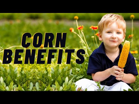 Nutrition Facts And Health Benefits Of Corn