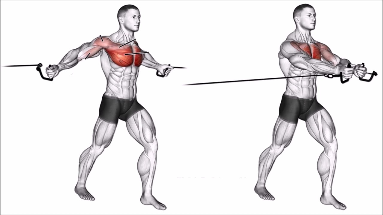 НЛО прилетело и украло описание.