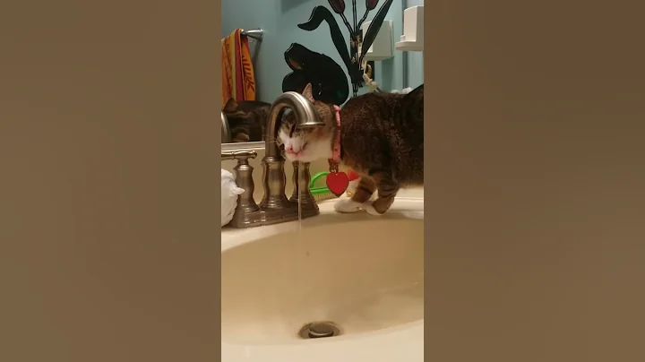 Sophie drinking straight from the tap