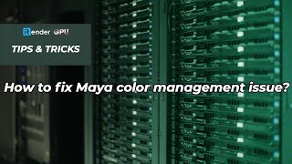 How to fix Maya color management issue | iRender Cloud Rendering
