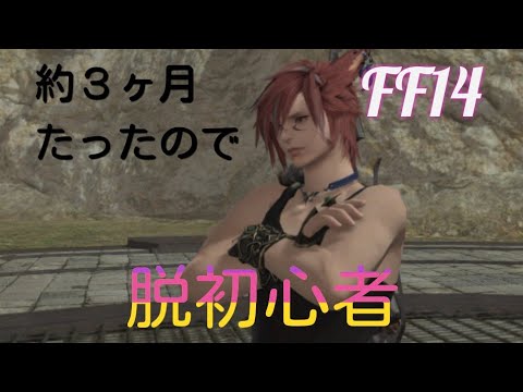 Ff14 プレイ日数約90日でここまで成長しました Youtube