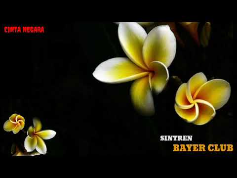 GENDING SINTREN || VERSI BAYER CLUB PAJARESUK - PRINGSEWU