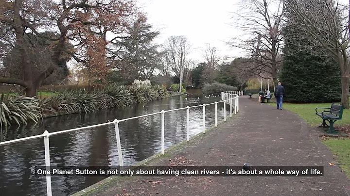Cllr Jill Whitehead speaks about One Planet Sutton.