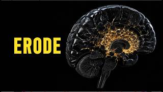 cortisol taxation | the silent erosion of the subordinate mind