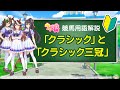 【ウマ娘】クラシックとクラシック三冠とは【三冠馬】【用語解説】