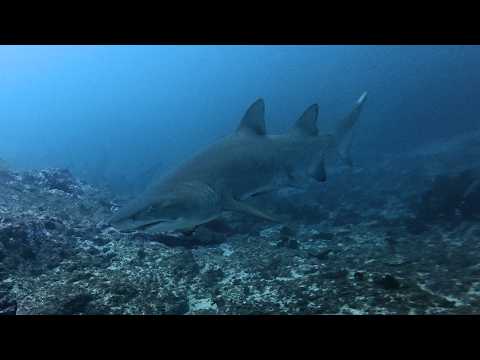 Bushranger's Bay - 24.05.2026 | Entry #38