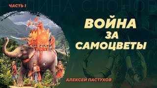 Китайско-бирманская война XVIII века. Часть 1. Алексей Пастухов. Родина слонов №391