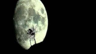 SHARIF DEAN  - Do you love me..?
