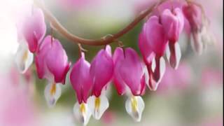 VID 20140526 WA0001