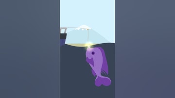 This Fish is Rare and Powerful #catgoesfishing #games