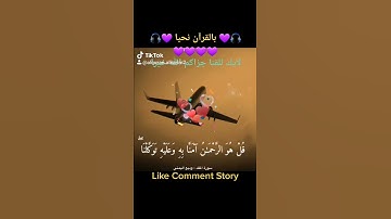 القارئ وديع اليمني