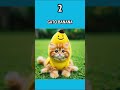 ELIGE TU MASCOTA 😹 #memes #chatgpt #comedia #humor