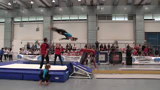 Trio Trampet - Junior Wom Aut - Klagenfurt Open International Teamgym - Gorizia 2017