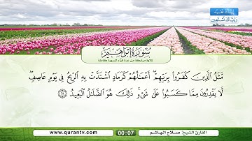 سورة إبراهيم | عبد الله بصفر | نبيل الرفاعي | صلاح الهاشم | يحي حوى | سعد الغامدي | فؤاد الخامري
