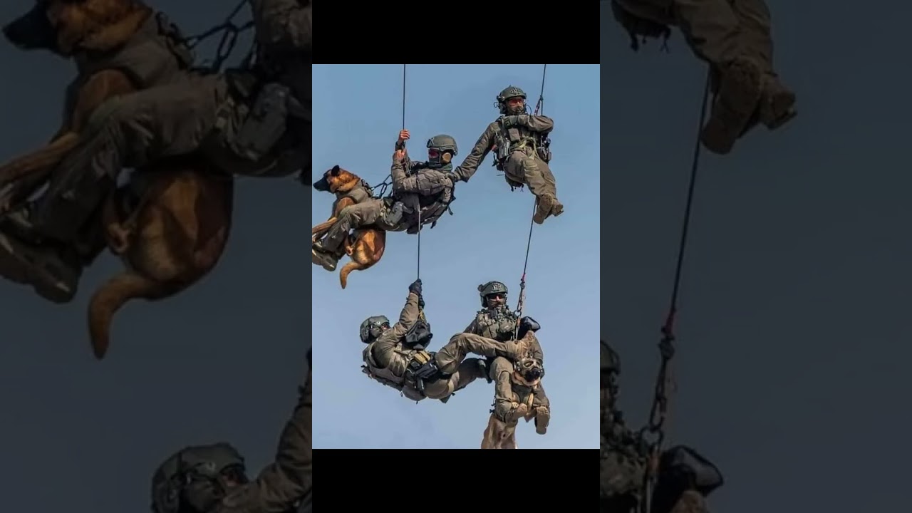 unprecedented escalation