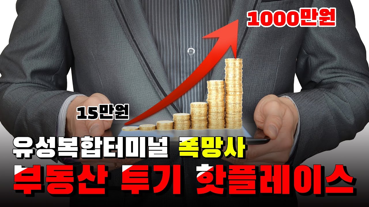 대전시가 만든 부동산 투기 핫플레이스!  유성복합터미널 폭망사.