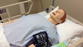 Orientation to Simulation