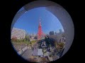 東京タワーライブカメラ2