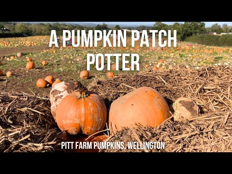 Pitt Farm Pumpkins | A POTTER AROUND THE PUMPKIN PATCH | October 2023 | Wellington, Somerset