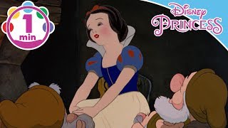 Watch Disney Princess Some Day My Prince Will Come video