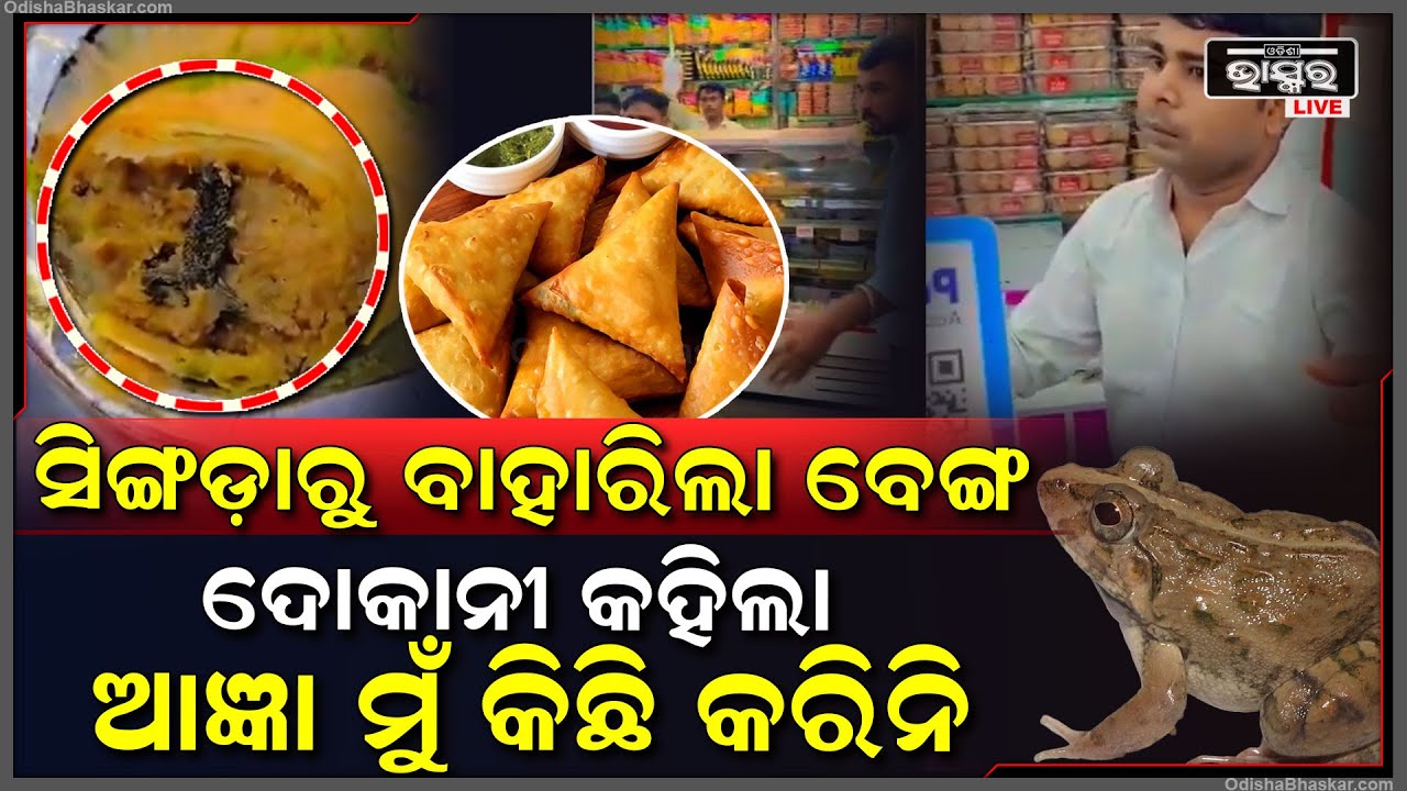 ଦୋକାନୀଠୁ କେତେ ଖୁସିରେ ସିଙ୍ଗଡ଼ା କିଣି ଖାଇବାକୁ ନେଇଥିଲେ ଗ୍ରାହକ ହେଲେ ସିଙ୍ଗଡ଼ାରୁ ବାହାରିଲା ବେଙ୍ଗ ତା'ପରେ...