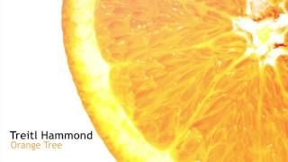 Download Lagu Treitl Hammond - Orange Tree (Original Mix) MP3