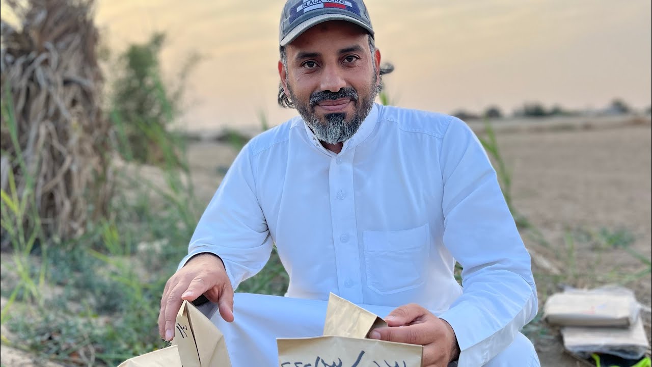 طريقة تطعيم السدر مع المزارع إبراهيم القريشي