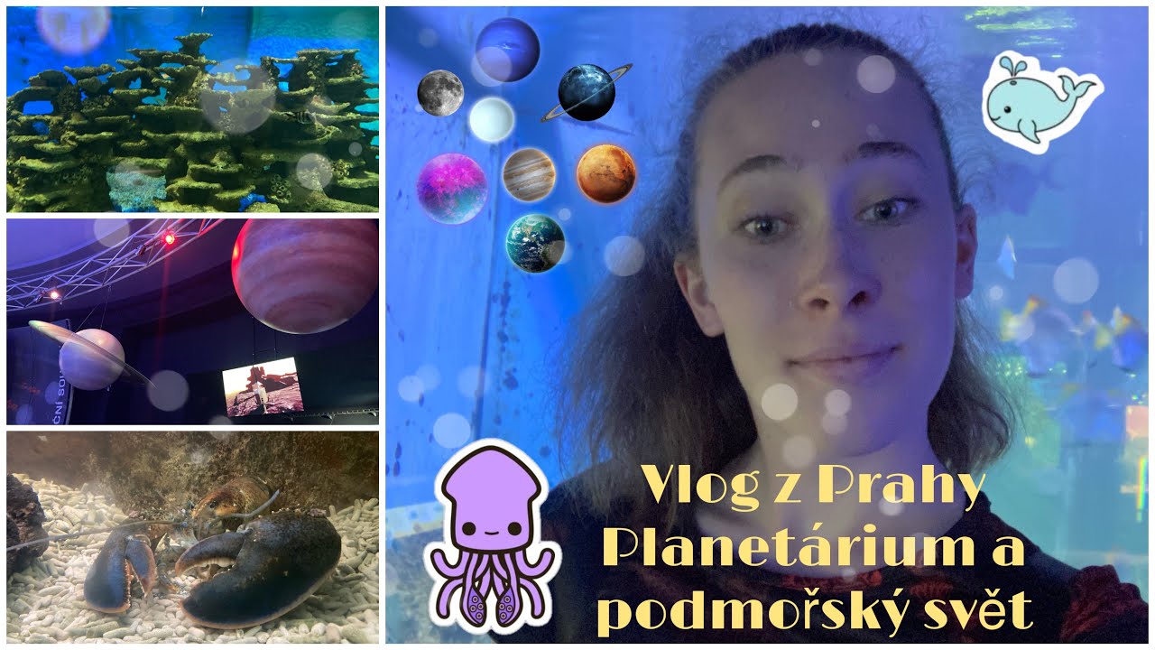 Vlog z Prahy | Planetárium a podmořský svět 🪐🐙