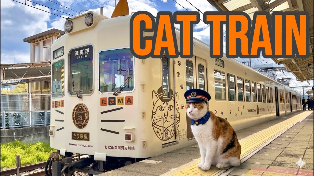 Must-Visit Hidden Gem near Osaka: The World’s Only Cat Station Master ...