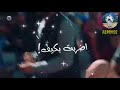 حلات واتساب 2020 مهرجان اضربت بكيف وخمرا ضرب نار 