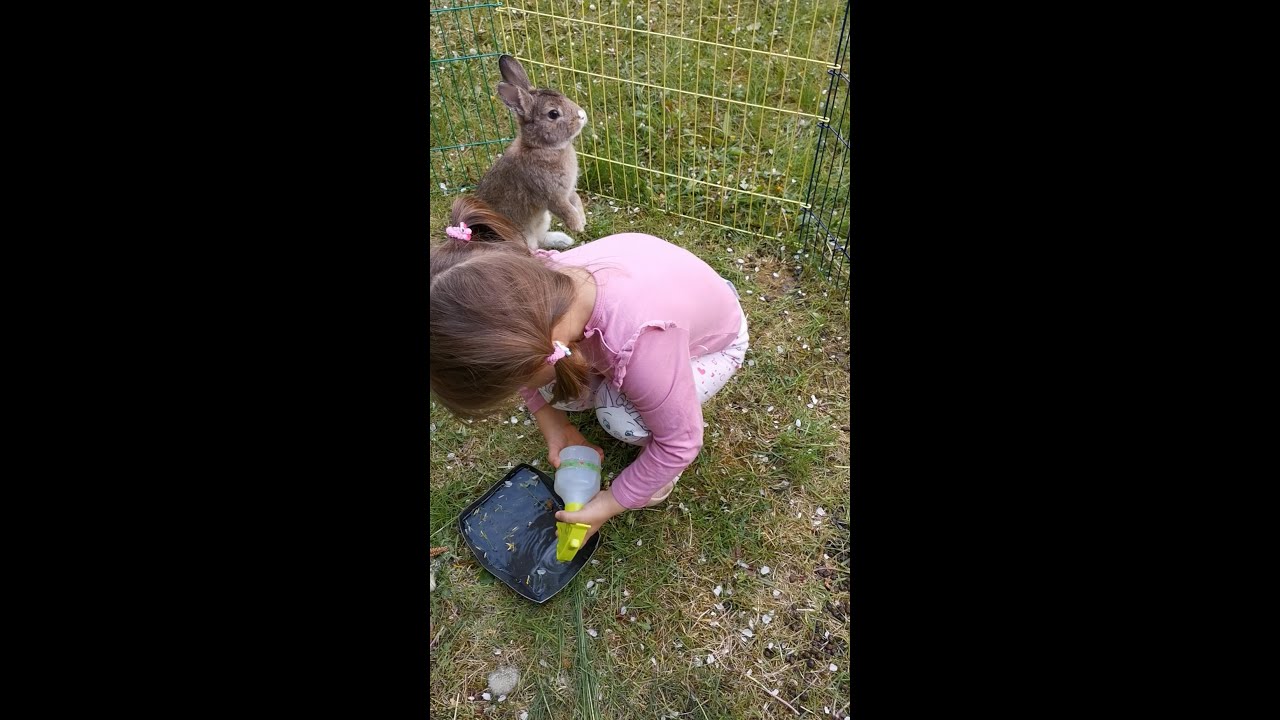 Playing with Funny and Cute  Bunny Rabbit  